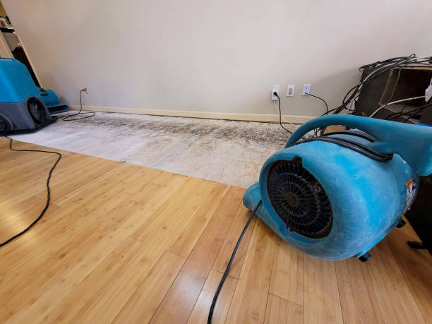Professional Basement Flood Cleanup technician working in Gardnerville, NV